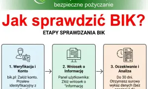 Jak sprawdzić BIK? Etapy: weryfikacja konta, wniosek o informację, oczekiwanie i analiza. Profimo czy sprawdza BIK? Dowiedz się, jak uzyskać dane.